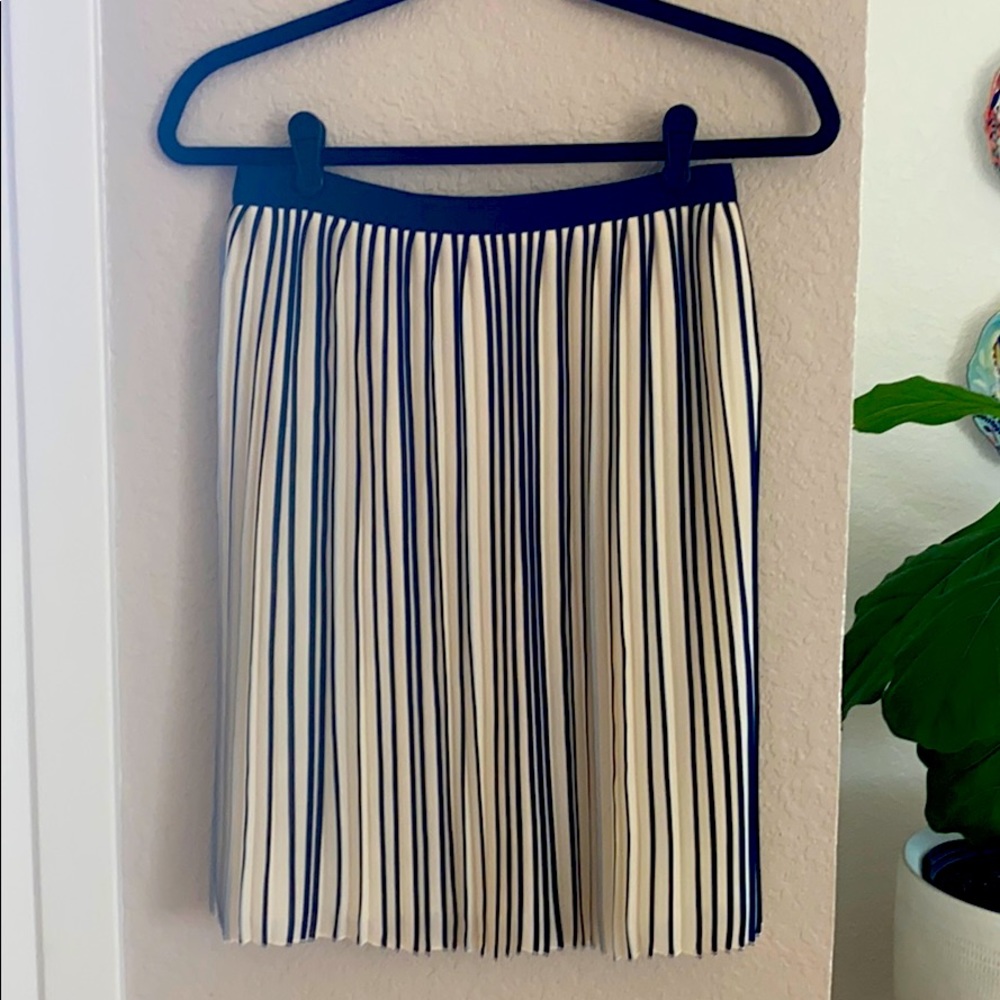J. Crew Skirt